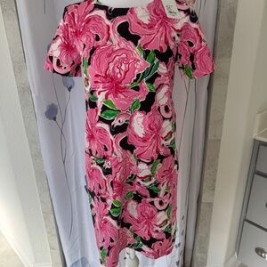 NWT Lilly Pulitzer Mattison dress size XS